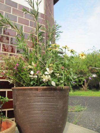 14333679_1125314004204964_5377530488024309748_n