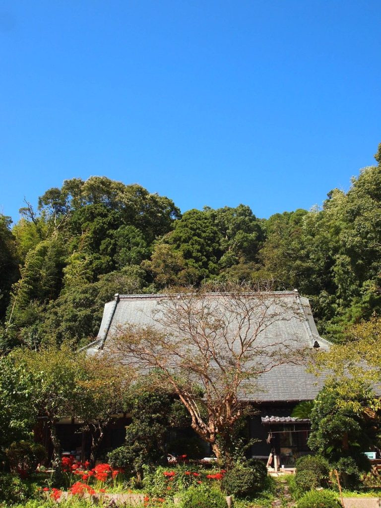 -e1553762472108-768x1024