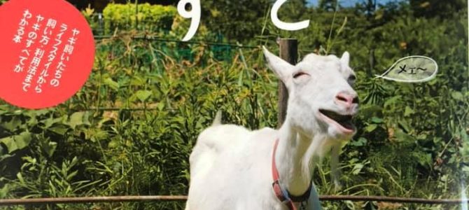 【10/19~20】むつざわヤギの学校開校 ヤギを飼ってみたい人におすすめ! 【10/19~20】むつざわヤギの学校開校 ヤギを飼ってみたい人におすすめ!
